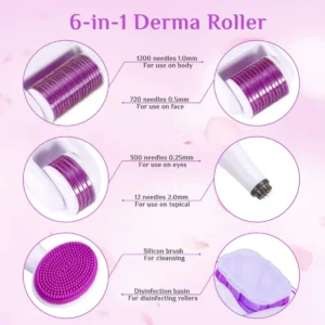 6 in 1 Micro Needle Derma Roller, 0.25/0.5/1 mm Derma Roller Set for Body and Face Care, for Anti-Wrinkle Stretch Marks, Acne