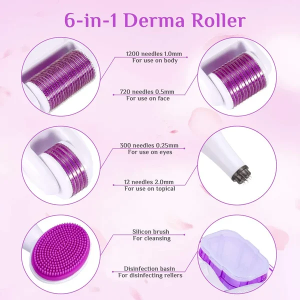 6 in 1 Micro Needle Derma Roller, 0.25/0.5/1 mm Derma Roller Set for Body and Face Care, for Anti-Wrinkle Stretch Marks, Acne